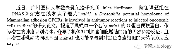 热烈祝贺广州霍夫曼免疫研究所Jules Hoffmann-陈笛团队在PNAS刊登果蝇肿瘤免疫重要研究成果！