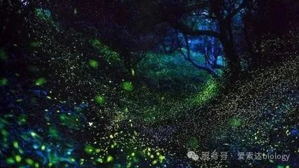 您的细胞还好吗？细胞活性检测方法汇总